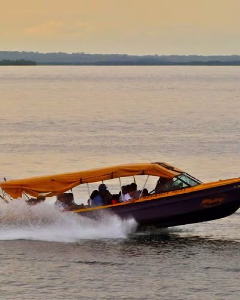 Water Taxi