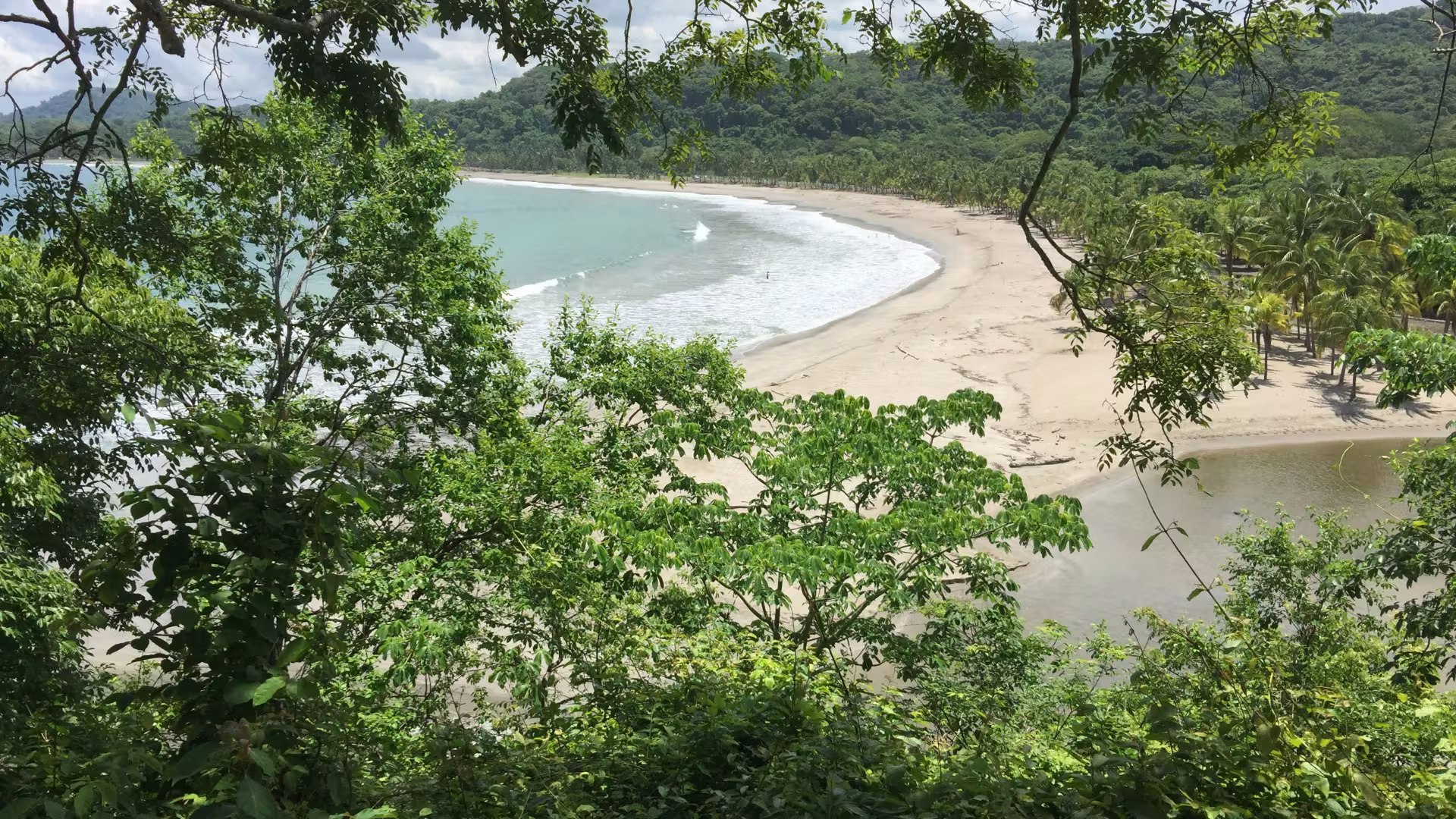 View of a Costa Rican beach partially blocked by vegetation