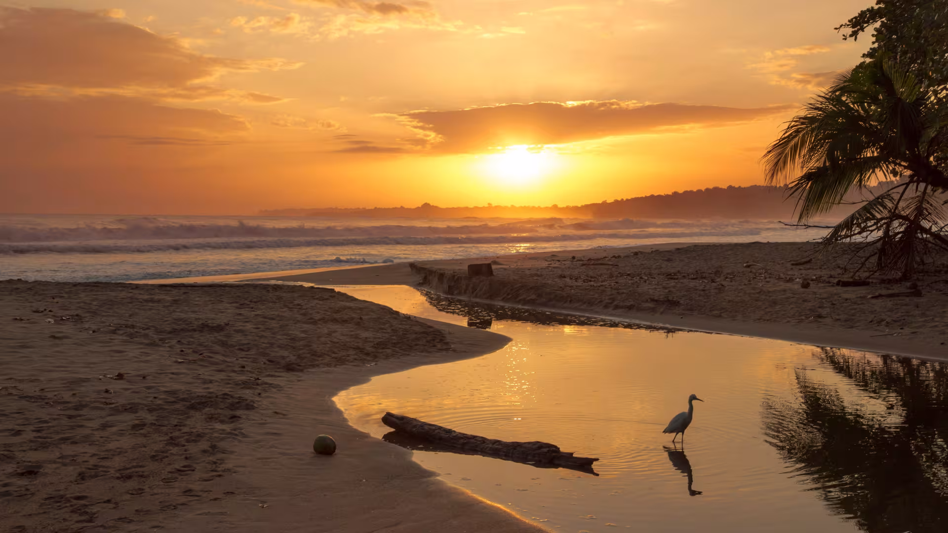 Beach sunset in Costa Rica